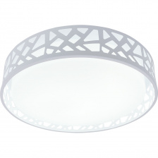 Потолочный светильник Leone TL1205X-72WH